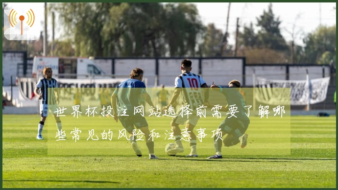 世界杯投注网站选择前需要了解哪些常见的风险和注意事项